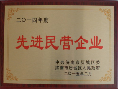 先進(jìn)民營(yíng)企業(yè)
