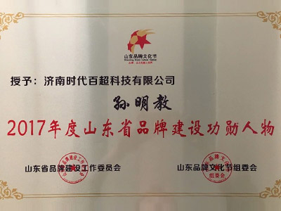 2017年度山東省品牌建設(shè)功勛人物